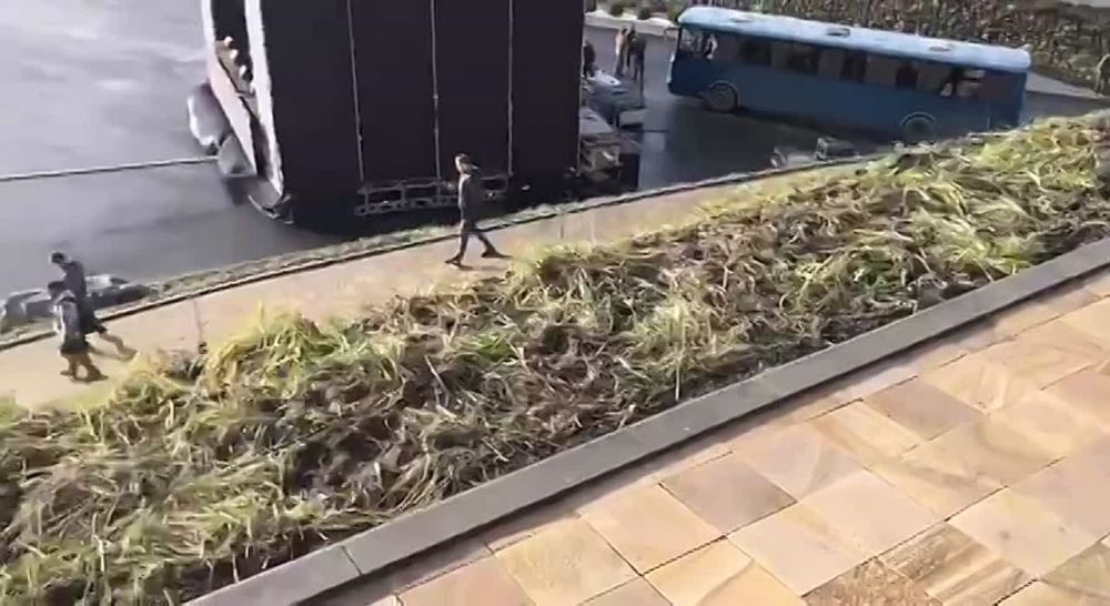 ������ ��������: ������� ������������������ �������� ����� ����� � ������� ���������