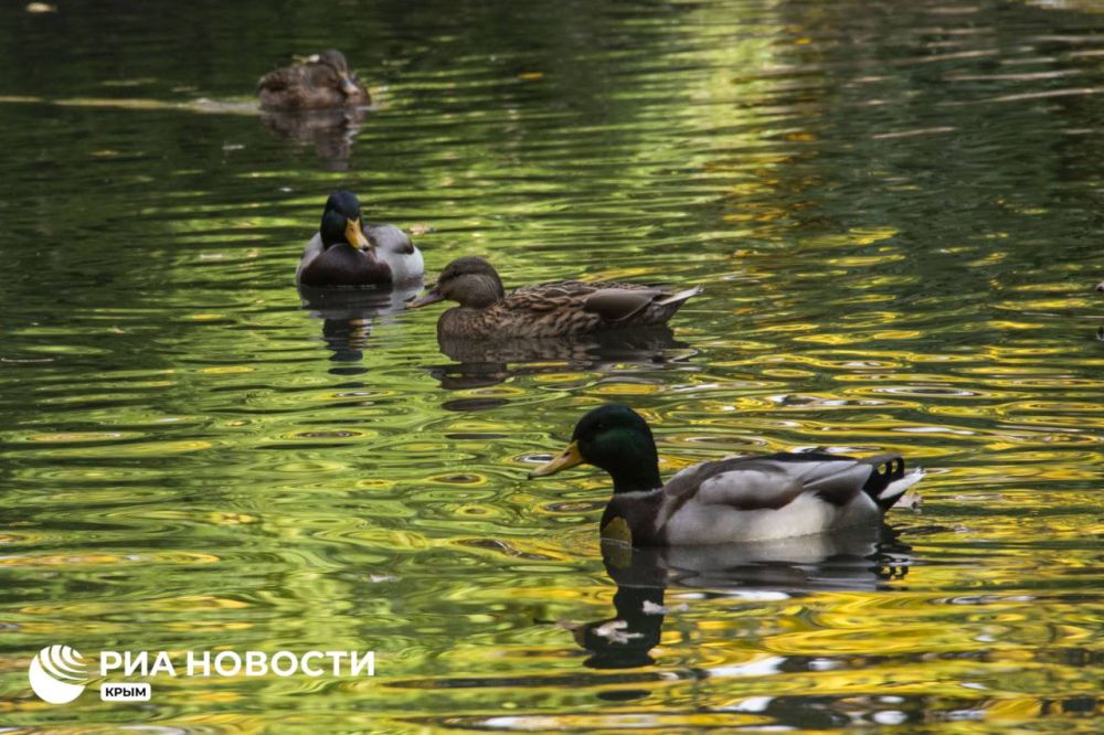 ������ �� ����� ����������� ������