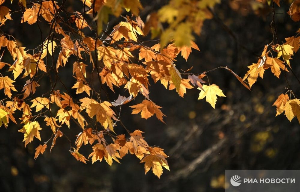 ������ �� ����� ����������� ������