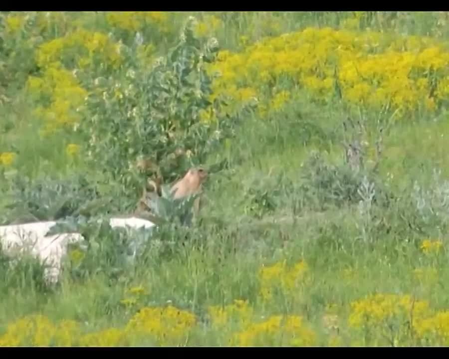 � ����������� �������������� ������ �������� � ����� ������� ��������� ���� ������ �� ���������� �������� 24�