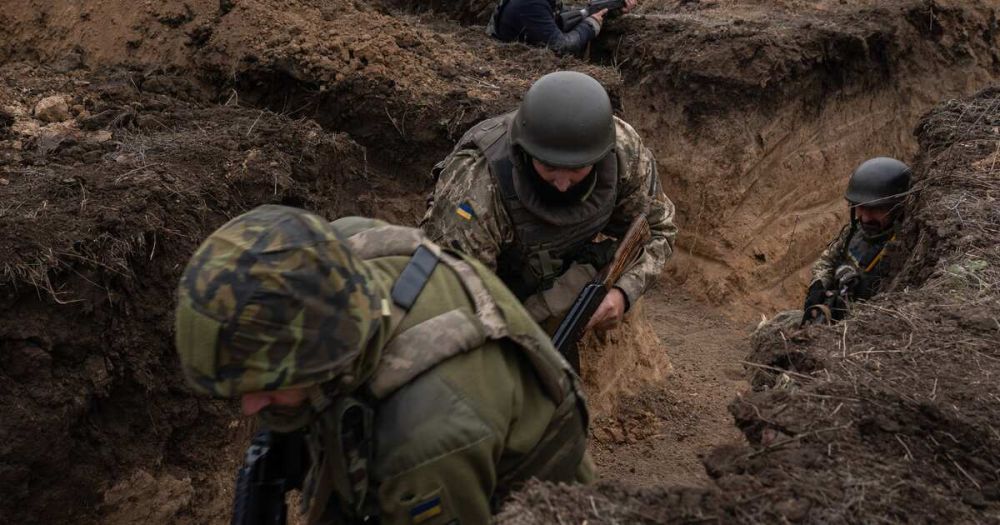 � �������� ������� ������ ������� ���������������� ����������