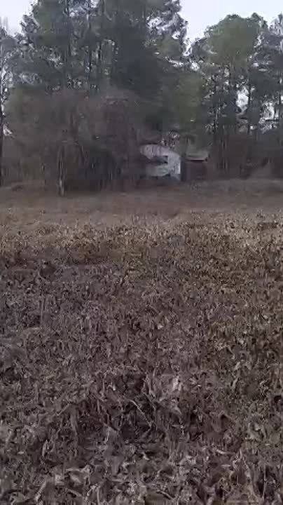 ��� ������������, ������� ����� �� �������-���������, ��� � 2014 ���� ������������ �� �������� � �������� ��������� � ������������ ������ � ����