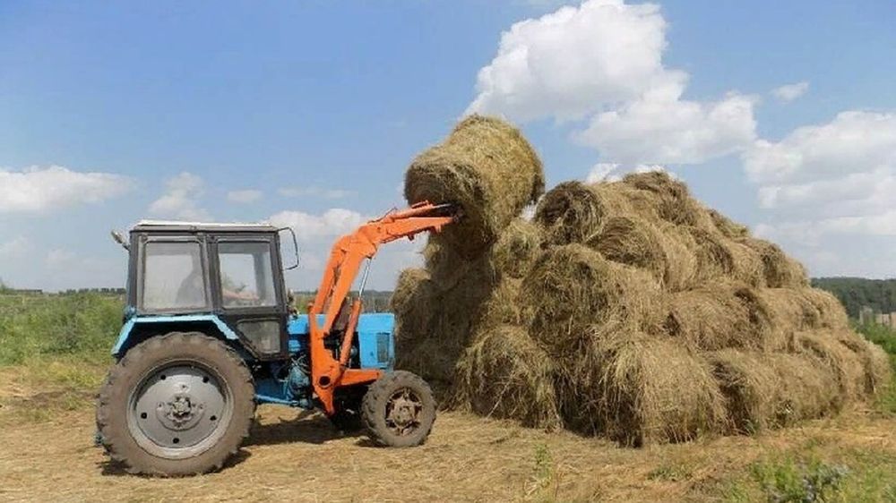 � ��� ��������, ����� ��������������������������� ����������� ��������