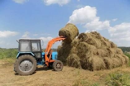 � ��� ��������, ����� ��������������������������� ����������� ��������