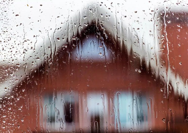 ������ �� ����� ����������� ������