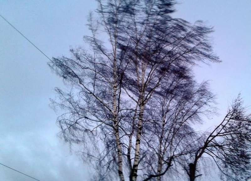 �������� ����� ��������� � �������� 1 �������