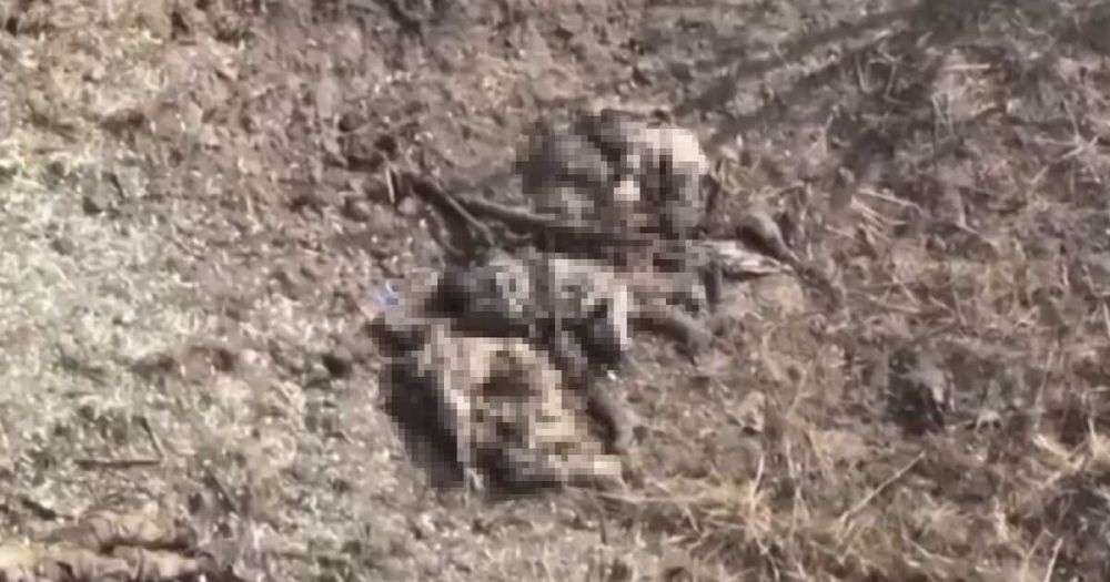 ������� ������ �� ����������� ������ ����������� ��� � ��������� � ���