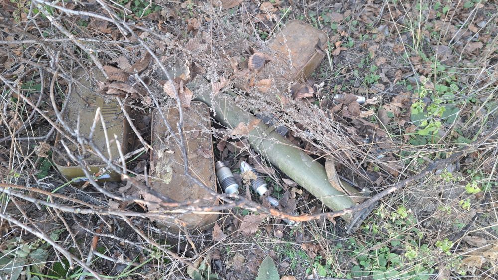 ������������ ������� ��������-���������� ���� ��� ��� ���������� ������ � ����������