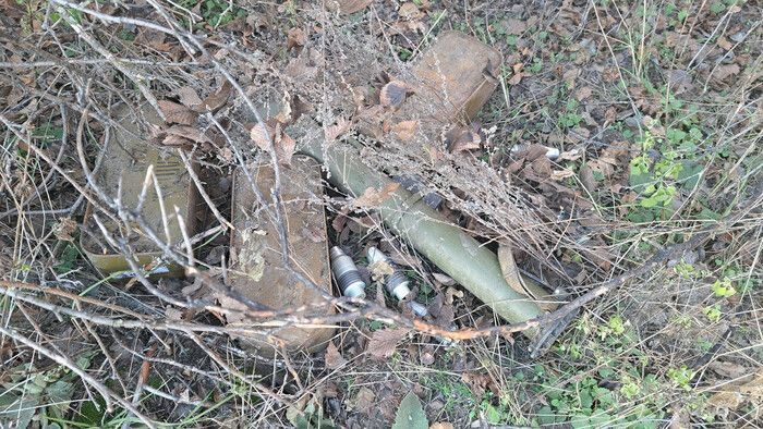 ����������� ������ �� ������� � ��������-��������� ������ ����� 2,5 ���. �����������, ������� ����� ������������ ������ ��� ���