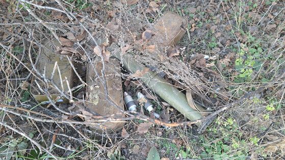 ����������� ������ �� ������� � ��������-��������� ������ ����� 2,5 ���. ����������� - ���