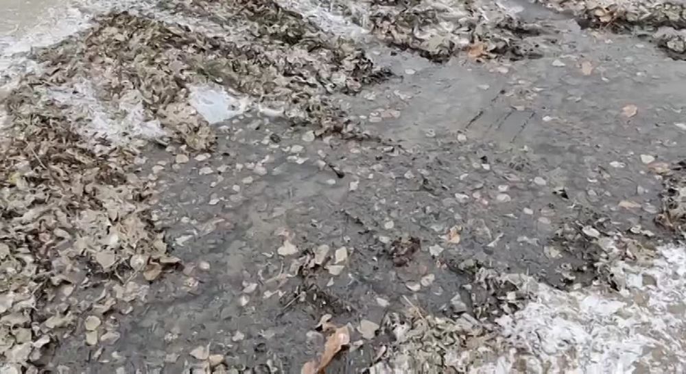 #��������. ����� ���� �� ������ �.�������, ��. ���������, 44. ����� ������ �� ������. ������� �� ��� � ���� ���������. ����� �������� ����������� � �����