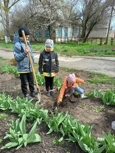 ����� 15 ���. ����������� ������� ������� � ��������������� ������ ����� � 2022 ����