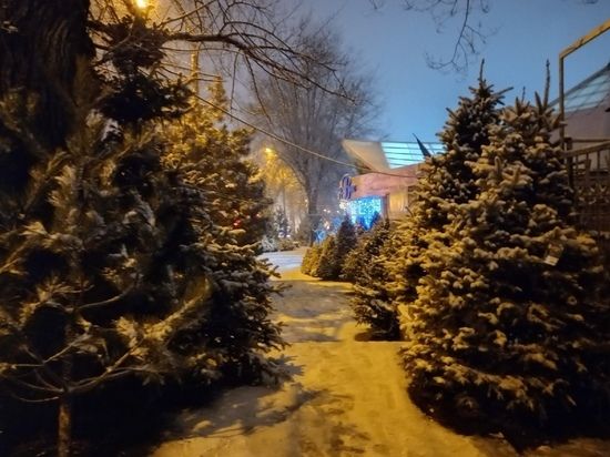 ������� ������ ������ ������ � �������� � �������� �������