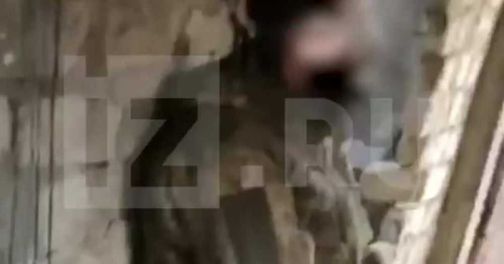 ���� ���������� �������� ������� � ���� � ��������