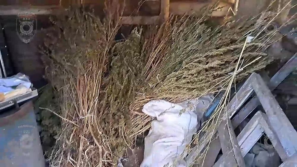 ��������������� ������ � ������ ���� ������� ��������-���������� ������ ���� �� �������