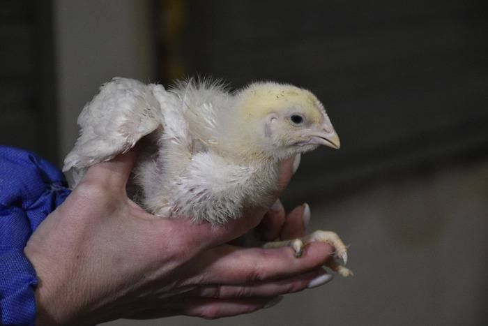 "������������ �������� ������� ��������� �������� ����������" ��������� ��������� �������� �� ���������������� ������� �� ������������ ���������, ��������� � ������������� �����, ������� �������� ����������� ������ �������