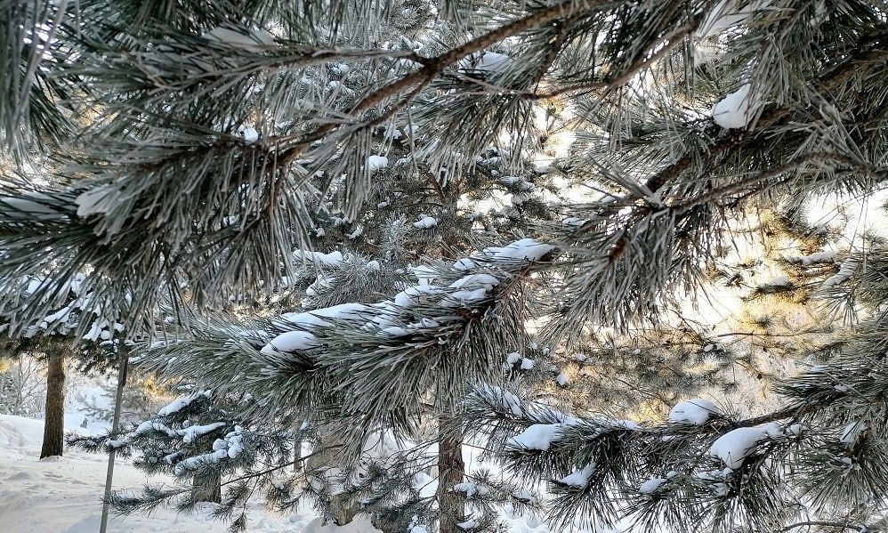 ��������� ������������ ���� � �������� 8 �������