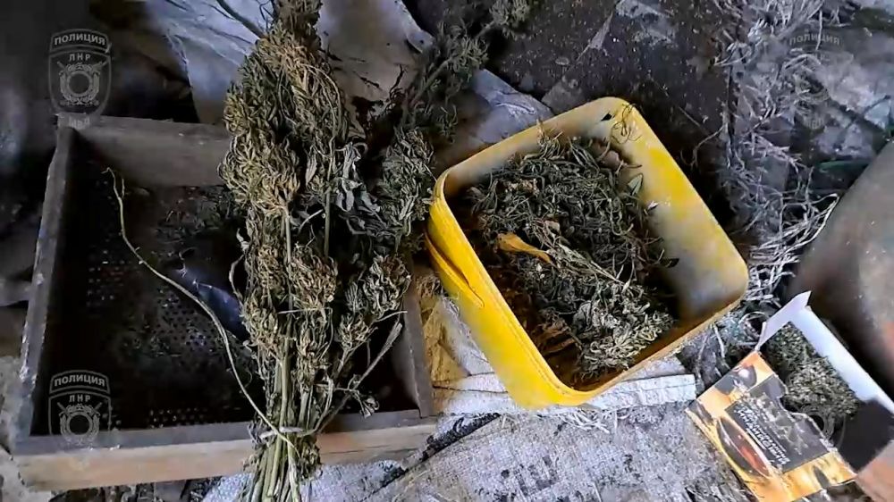 � ��������-��������� ������ ��������������� ���������� � ������ 5 �� ������� � ����������� ���� ��� ���