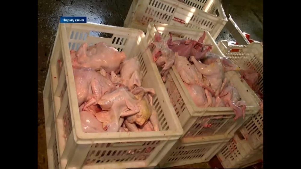 ������������ �������� ������� ���������� ������� ��������� �� �������� �� ���������� ���. ��� �������� �������� ������, ������ ������������ � ������������