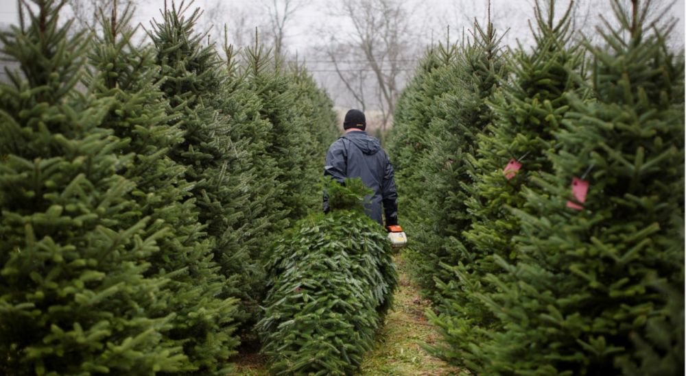 ��� ���������� �� ��������������� �� ���������� ������� ������� ��������