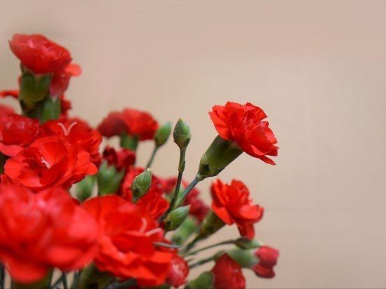 �������� ����� ������, ������� ����� � ���� ���, ������� � �������