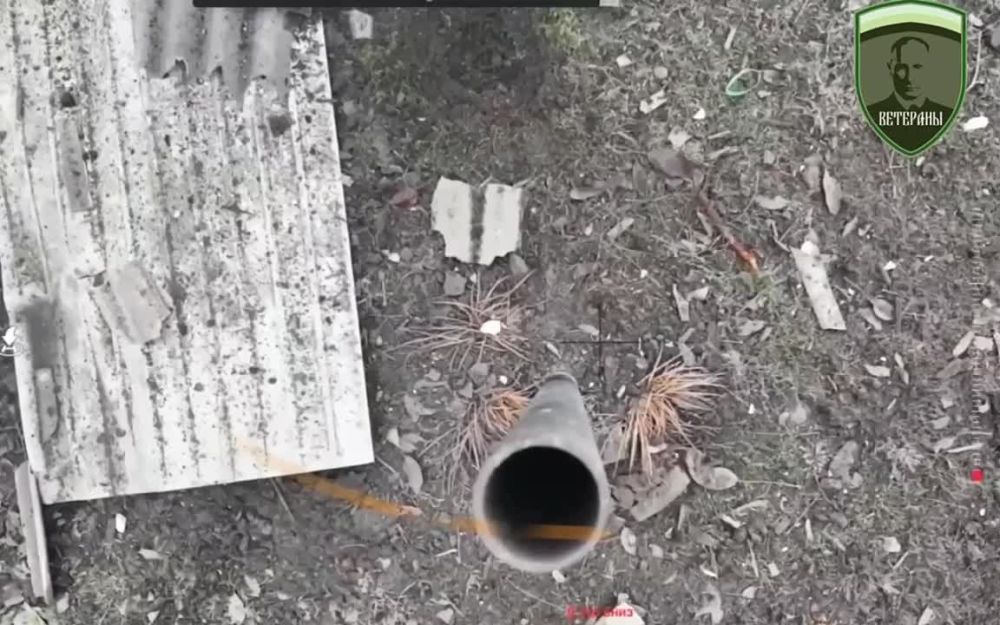 ����: ��� ������������� ��������� ������ ���������� ������, ����������� ���� ������ ������������