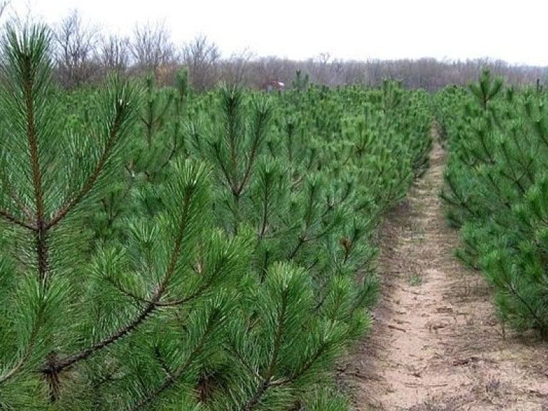 ���� �� ����� � ���������-��������� �������������� ���������: