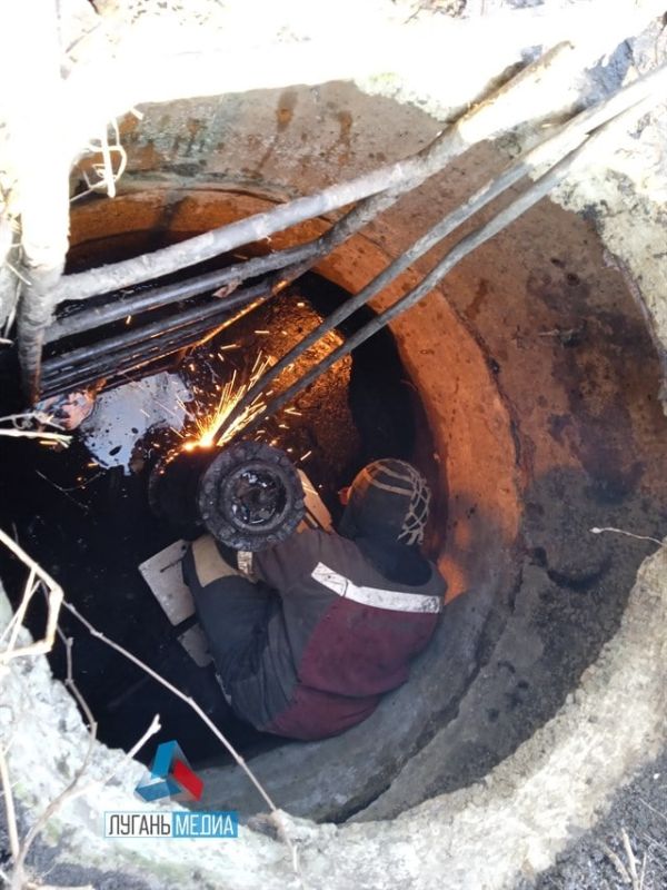 ������������ ���������� ����� ������ �������� ���������, ��������� �� ������� �����������