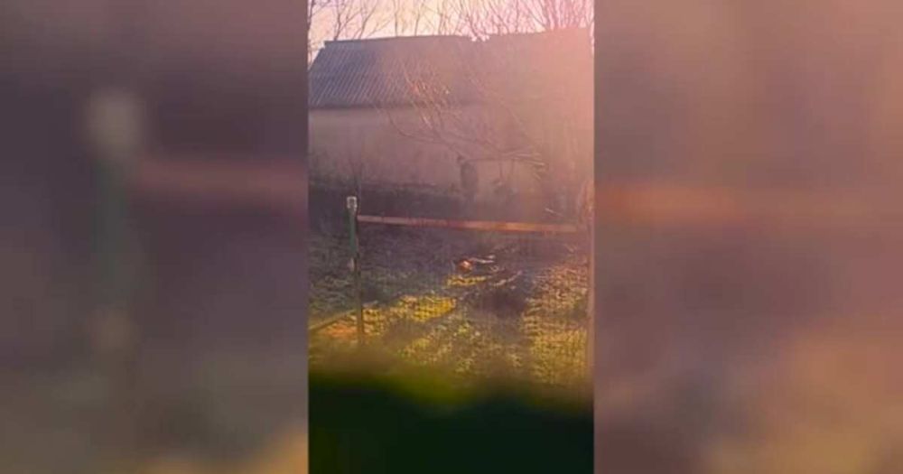 ��������� ����� �������� �������� ��� ������� �������� � ����������