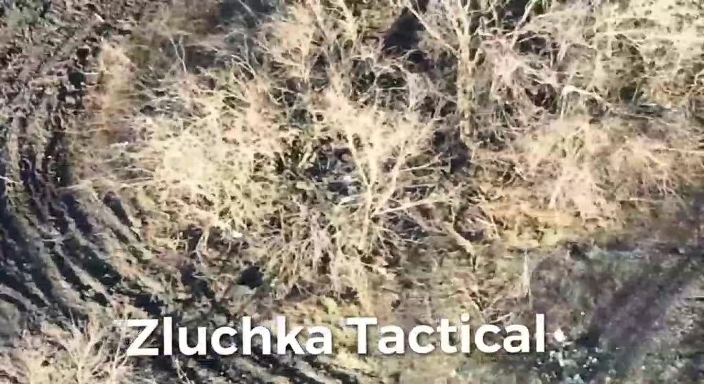 ���������� ���������� ������� �� ��������� ������� � ����� ���� ��� � ���� ��������������