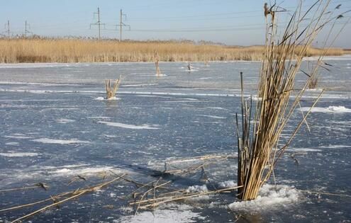 ���������� ��������� ������� ��� ������� ������� � ������������ ������������ �� ��������