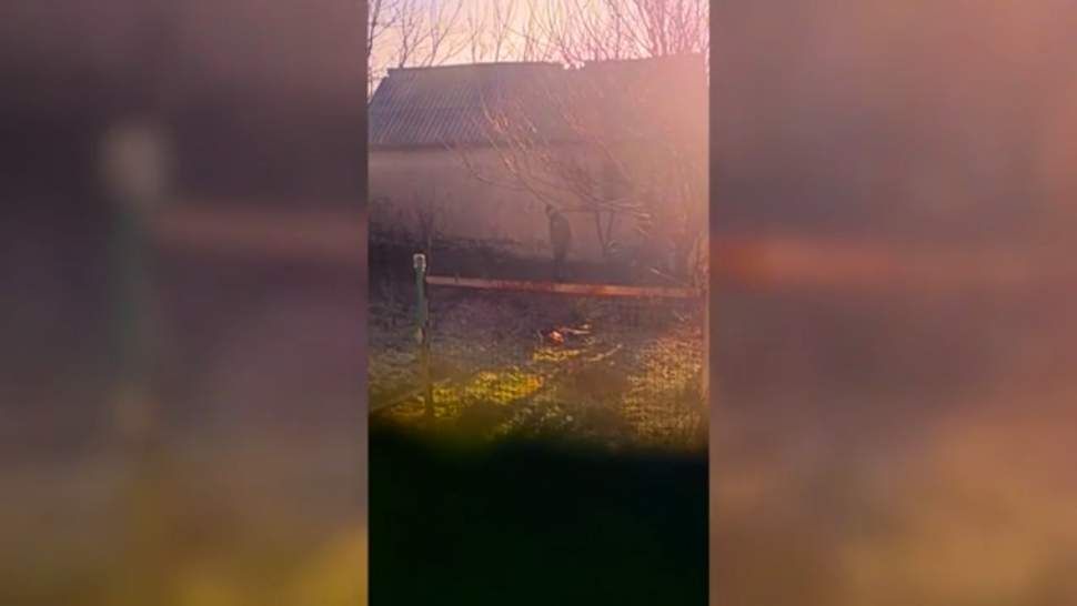 ������� ��� ������ ������������� ���� �� ����� ����� � ����������