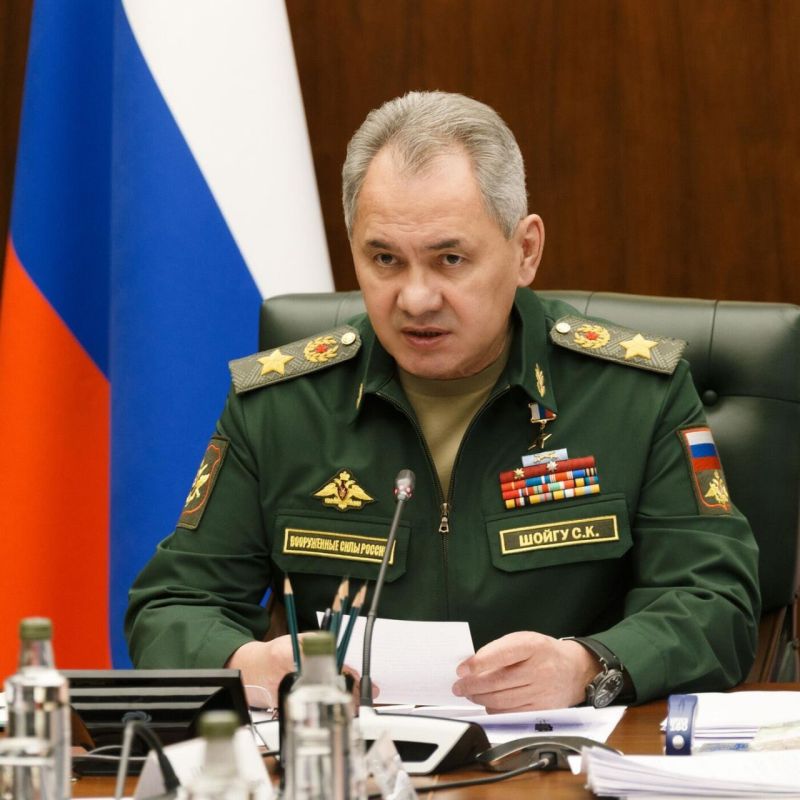 Основные тезисы министра обороны Сергея Шойгу: