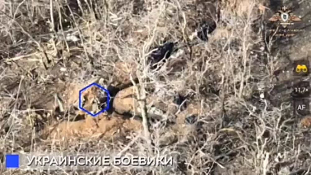 ���������� ���������� ���������� ������� ����� ��� � �������������