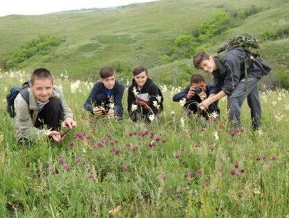 ������ ��� ����������� �� ������� "����������� ������" 84 �������