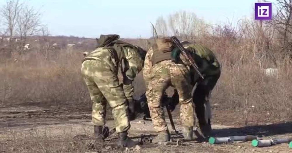 ���������� �������� ������ ��������������� ������������ � ���������