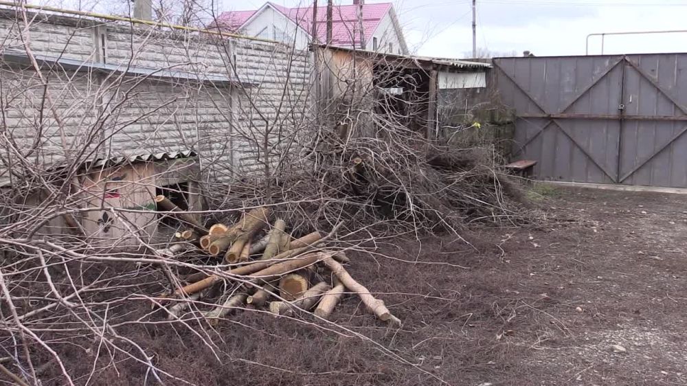 ������ �������: � ��������� �������� ���������� ������������ ���������� ��������� � ������� ������������, �����...