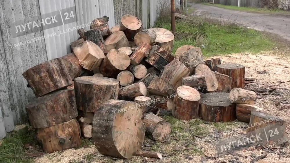 ������ ��������� �������� �� �������������� ����������� �������� ����������� �� ������������ �������� ������� � ���� � ���� ��� �������� ������ �����