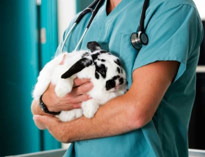 ���������� ���� �������� � ���������� ��������� ����� �������� � ���������� ������