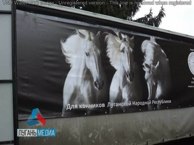 ������ ������ ������ ��������� �������� ���������� �������� ������������ ������ �� ���������� �������� ����������� ���������� ���������.