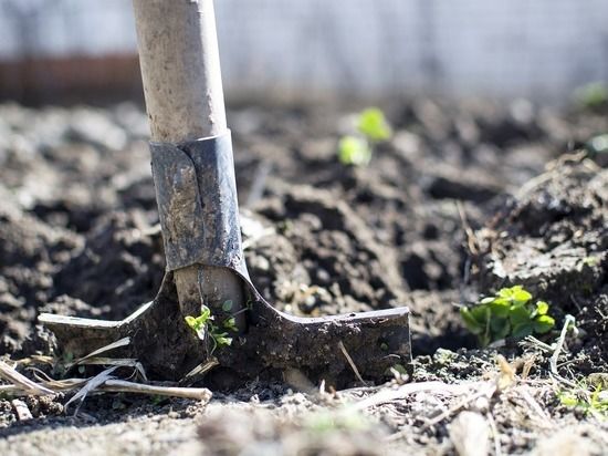 ���������� ����������� �� ��������� ������� ������� �� ��������� ������ � ��������