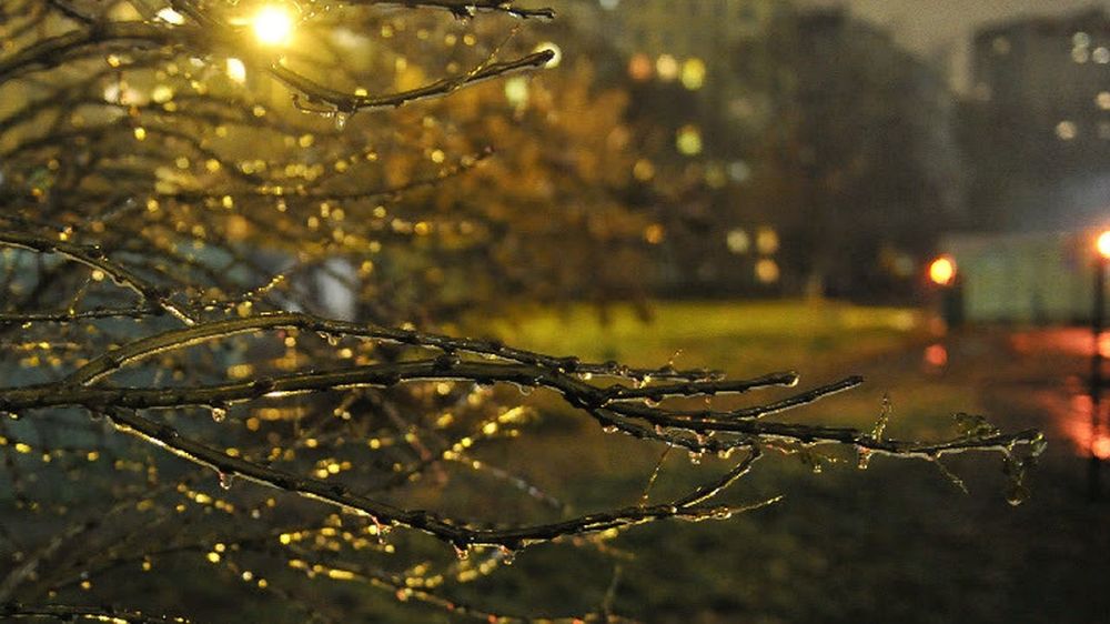 � �������� � 6 ������ ��������� ��������� �� -12 ��������