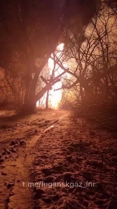 ����������� ����������� ����� � ����� ���������� ����