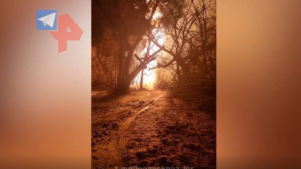 � ��� ������� ������ �� ���������� ����������� ������ �� �����������