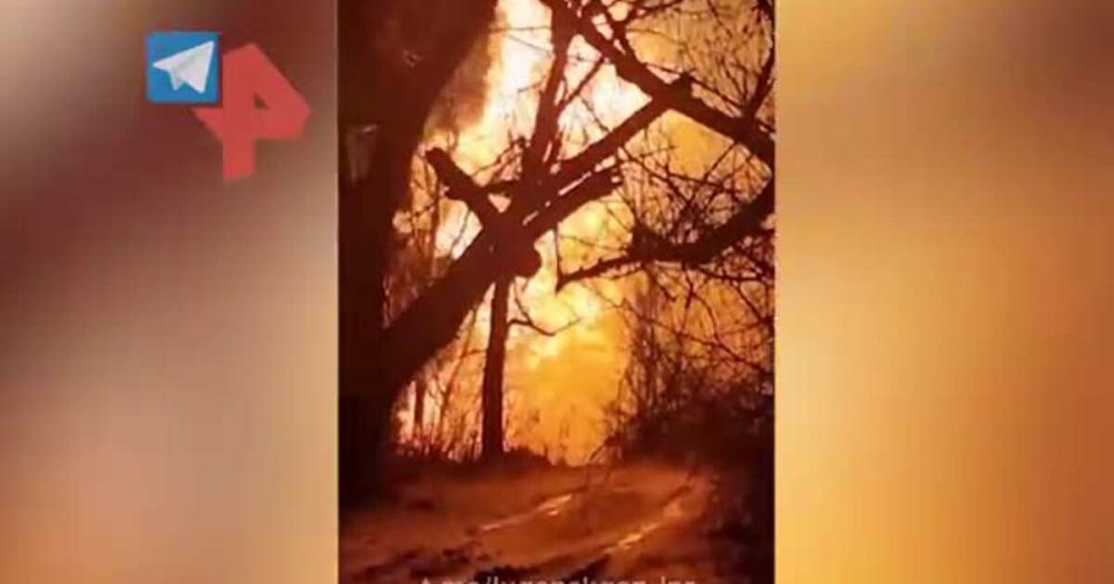 �������� �������������� ������������� ������� ����������� � ���