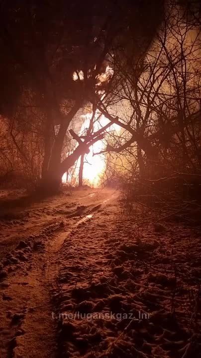 ������� 13 ����� ��������� �������� ��� ���� � ���������� ������ �� ����������� � ���, �������� � �����-������ "�����������"