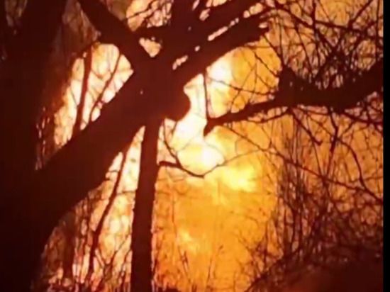 ���������� ������������ ���������� � �������������� ����������� � ��������