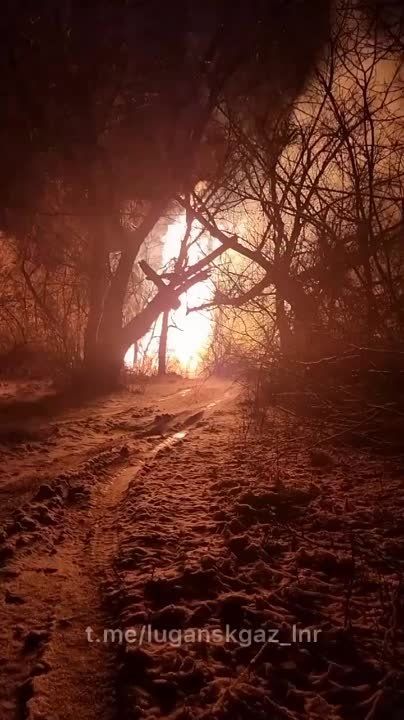 ����������� ����������� ����� � ����� ���������� �������������� ����������� � ��������