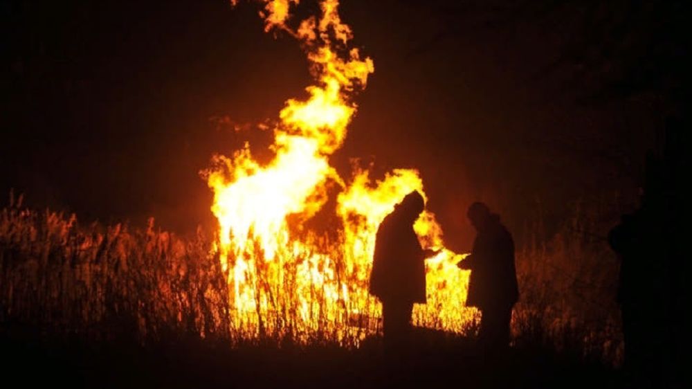 � ������ �������� � ��� ��������� ������ ����� �� ������������� �����������