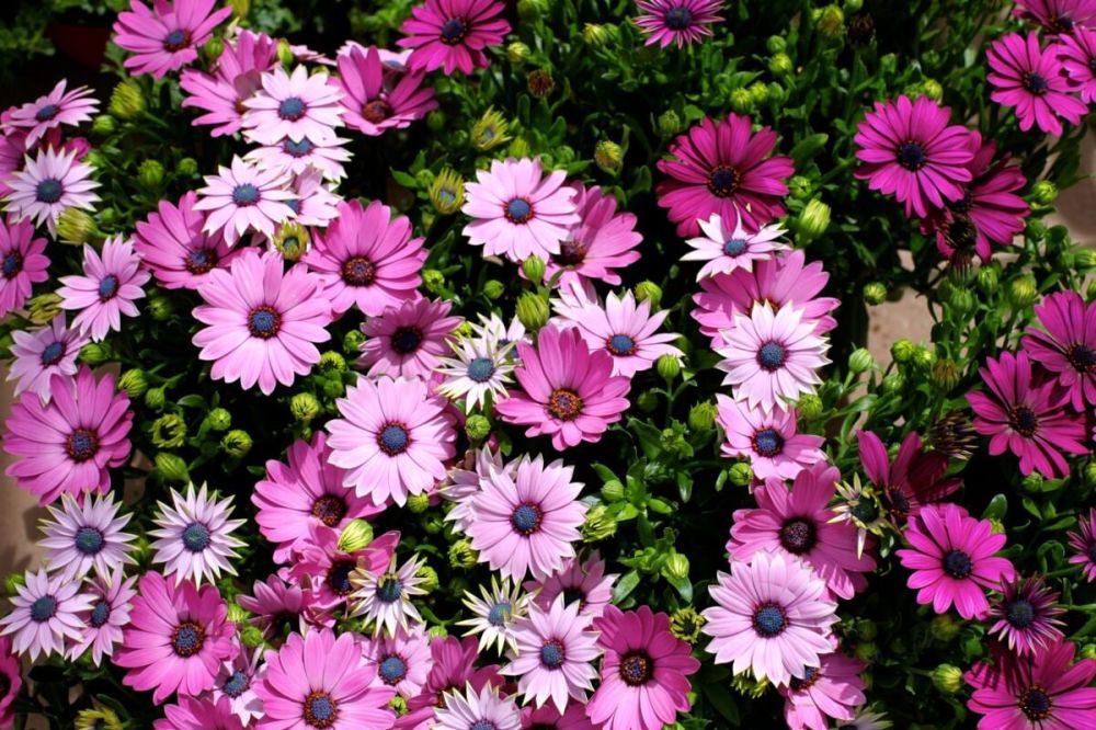 ���������� �������� ������ ����� ����� ������ � ��������